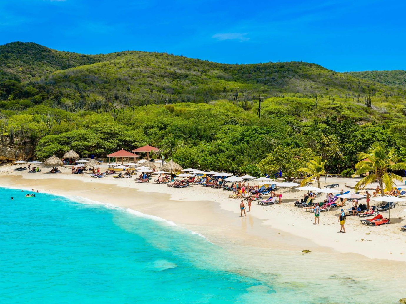 Background Contact Info