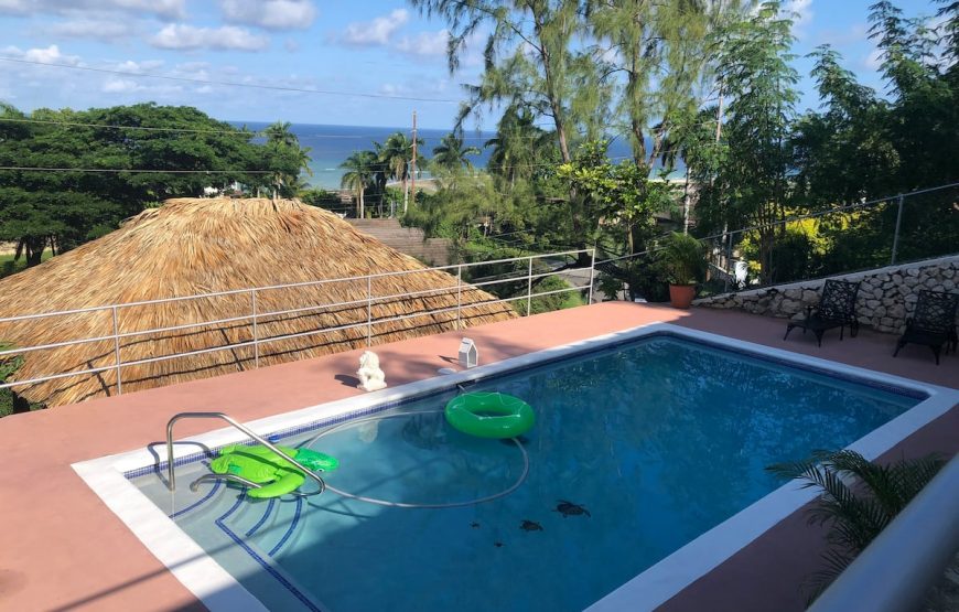 Bella Vista Cozy 1 BR Apartment W/ Pool