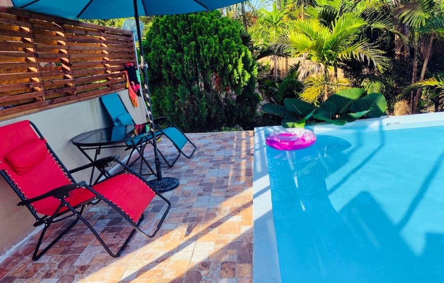 The Coconut Palm Villa 🌴~ Secluded OceanView Oasis