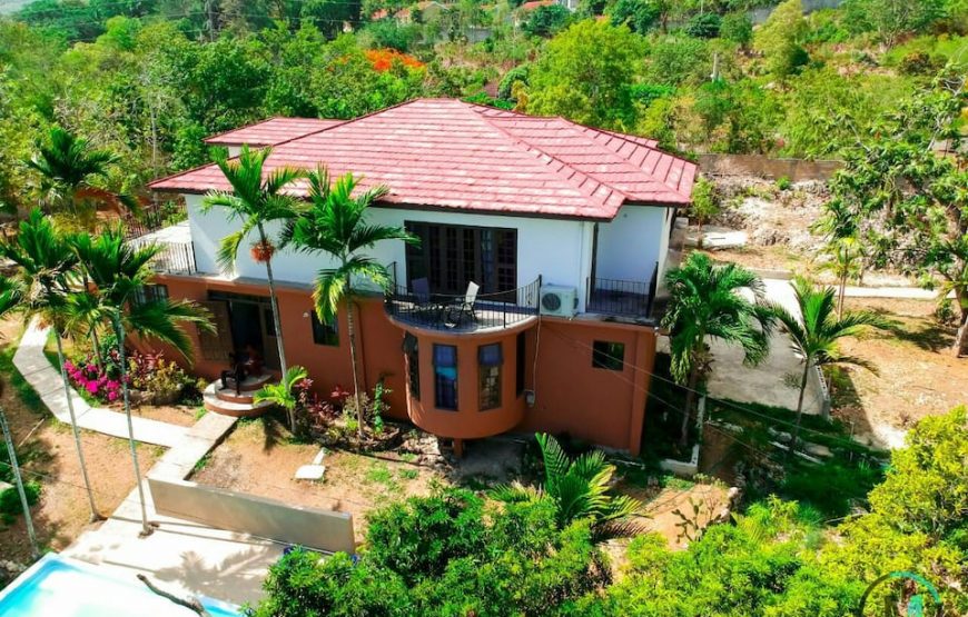 The Coconut Palm Villa 🌴~ Secluded OceanView Oasis