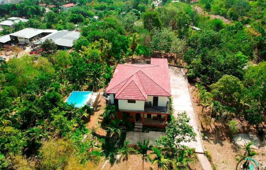 The Coconut Palm Villa 🌴~ Secluded OceanView Oasis
