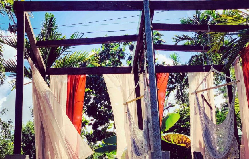The Coconut Palm Villa 🌴~ Secluded OceanView Oasis