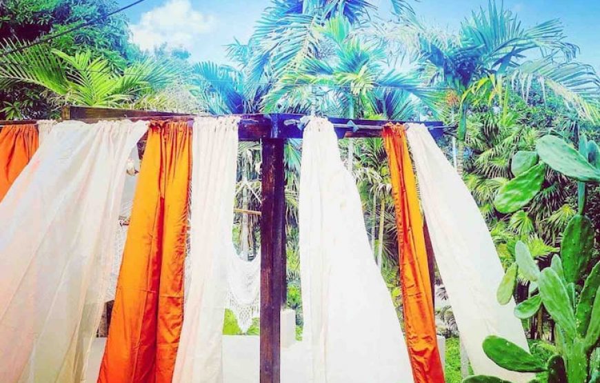 The Coconut Palm Villa 🌴~ Secluded OceanView Oasis