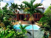 The Coconut Palm Villa 🌴~ Secluded OceanView Oasis