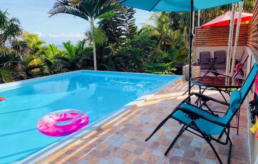 1 bedroom with 2 beds -Rustic Ocean View Suite @ The Coconut Palm Villa🌴