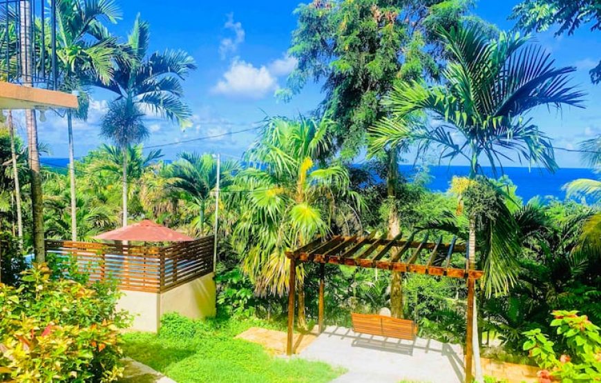 1 bedroom with 2 beds -Rustic Ocean View Suite @ The Coconut Palm Villa🌴