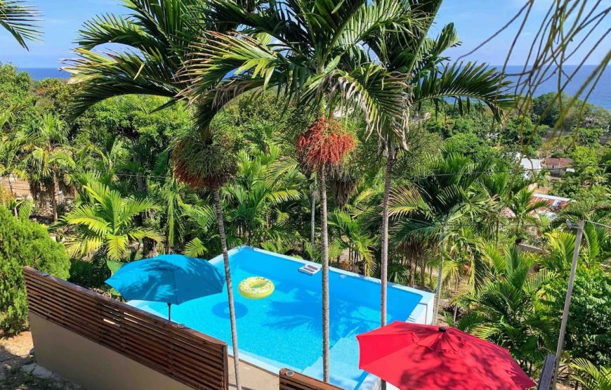1 bedroom with 2 beds -Rustic Ocean View Suite @ The Coconut Palm Villa🌴