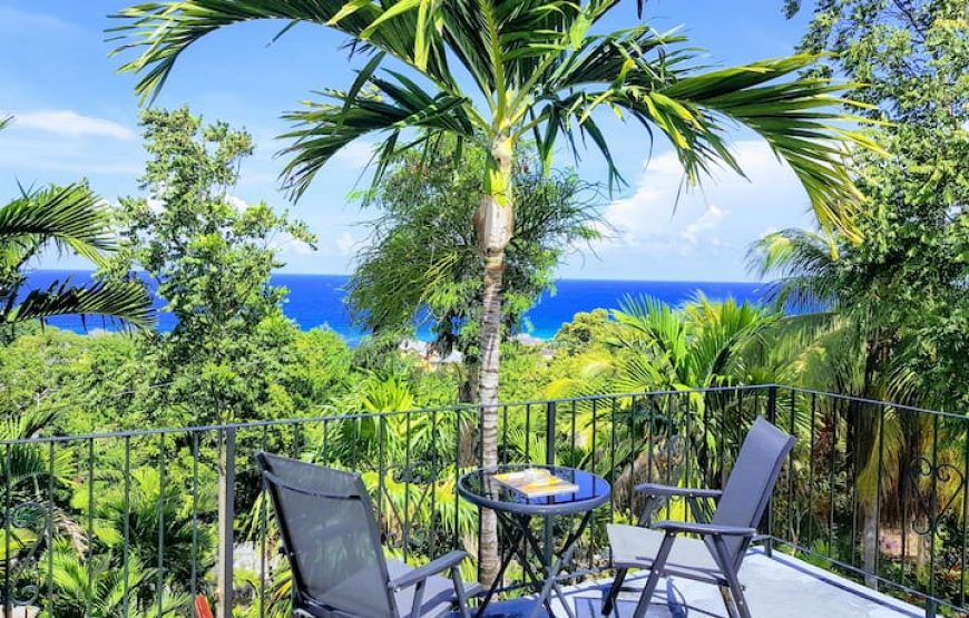 1 bedroom with 2 beds -Rustic Ocean View Suite @ The Coconut Palm Villa🌴