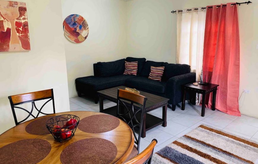 1 bedroom with 2 beds -Rustic Ocean View Suite @ The Coconut Palm Villa🌴