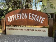 Appleton Estate – Tour