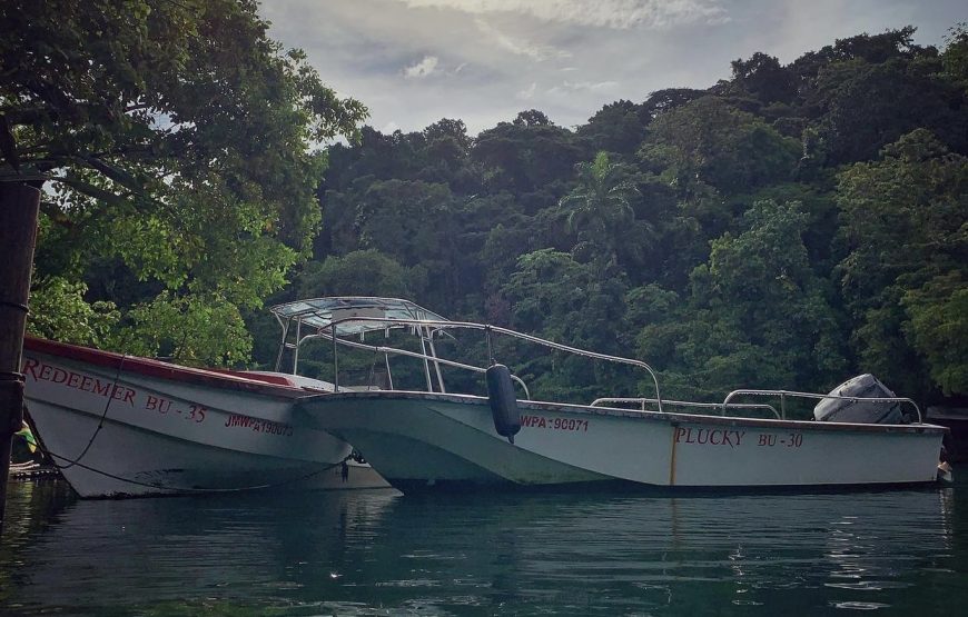 Canoe Private/Group Boat Tour – Blue Lagoon Tours (Portland)